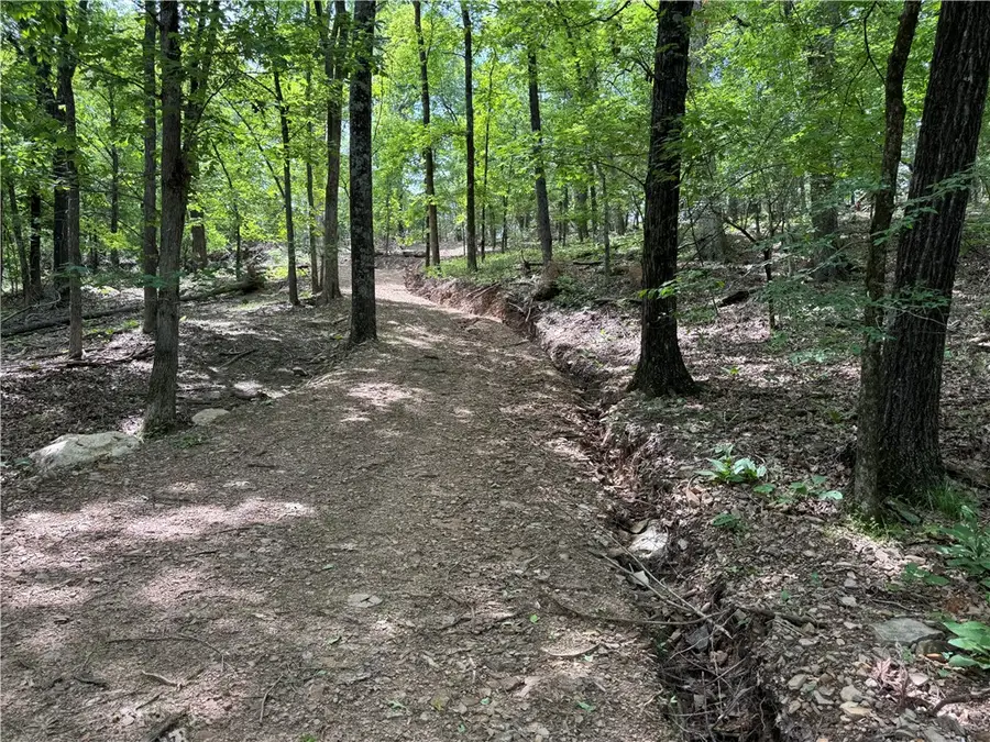 Tract 1a Downing Road, Elkins, AR 72727 - #3