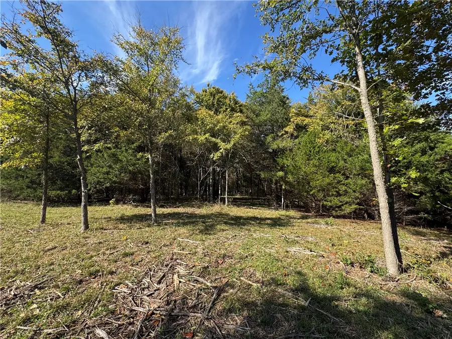 Tract 3a & 2a Downing Road, Elkins, AR 72727 - #3