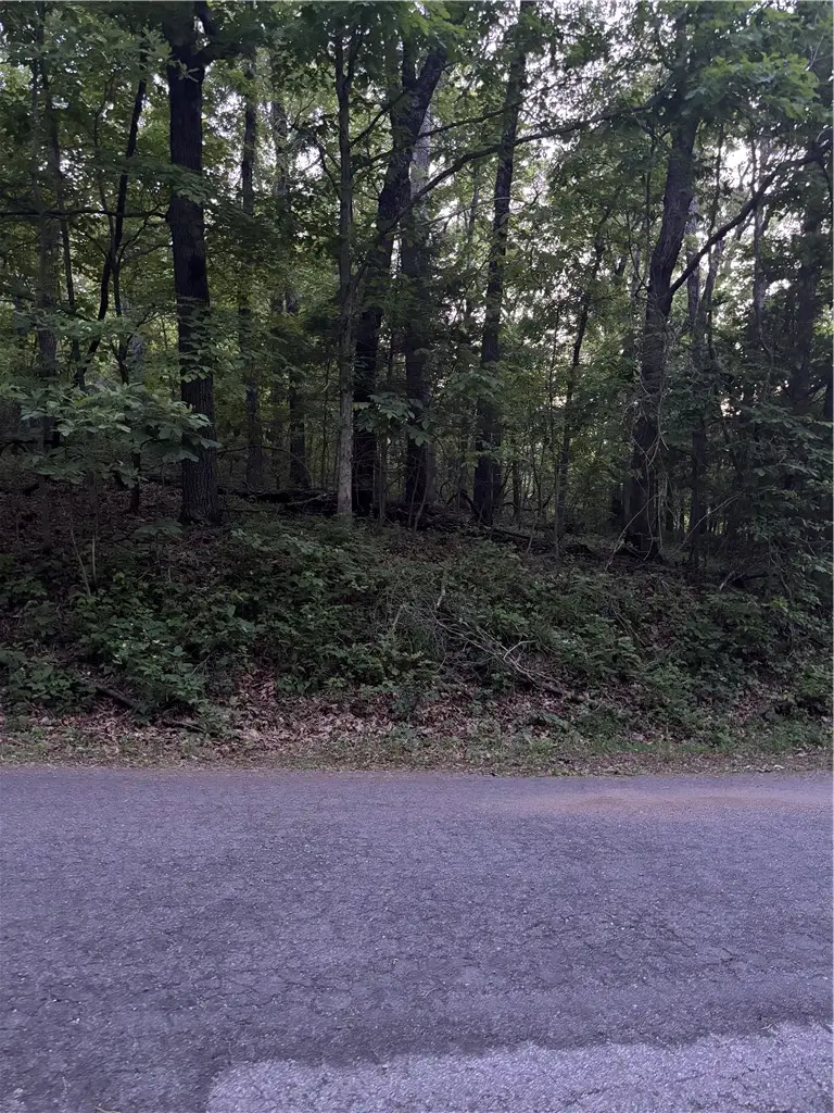 Drummore Drive, Bella Vista, AR 72715 - #2