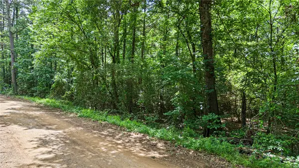 TBD E Cedar Piney Road, Havana, AR 72842