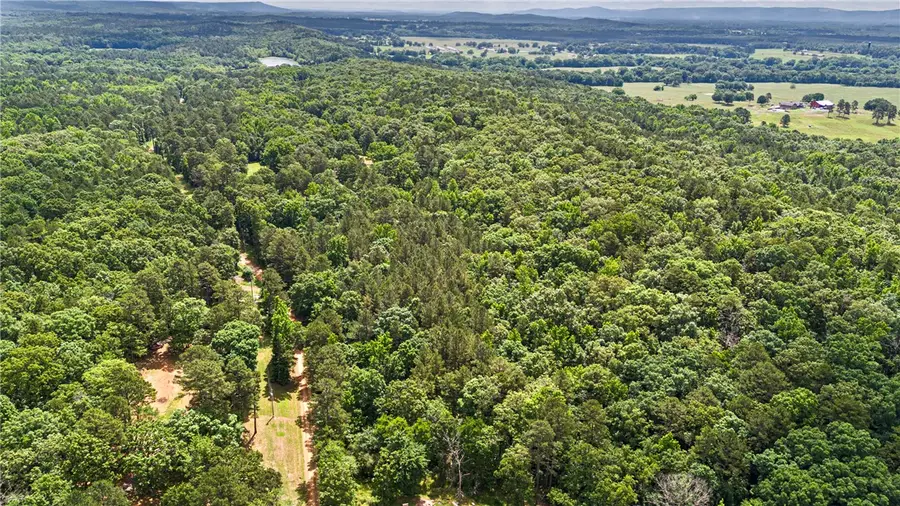 TBD E Cedar Piney Road, Havana, AR 72842 - #2
