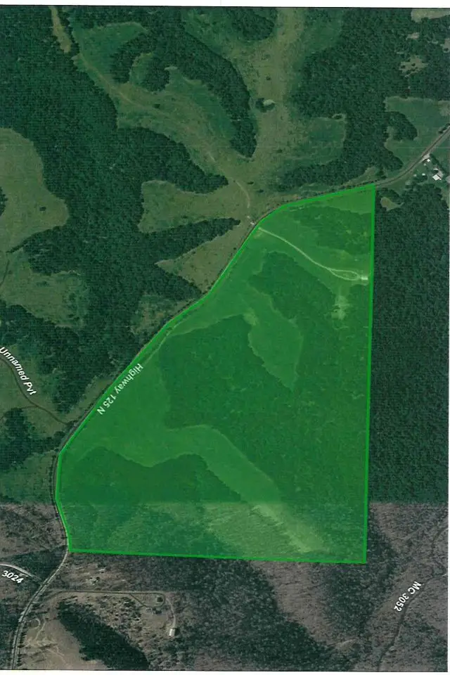 4815 N Hwy 125, Yellville, AR 72687 - #1
