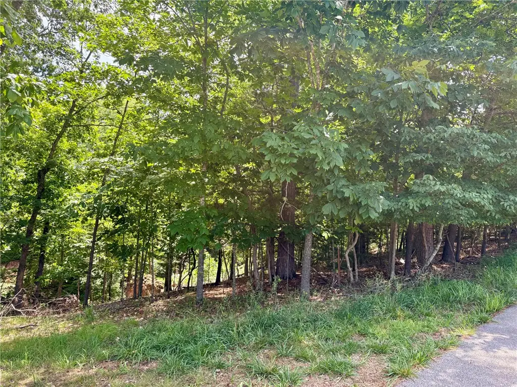 Lot 33,34,35 Acapulco Drive, Rogers, AR 72756 - #1