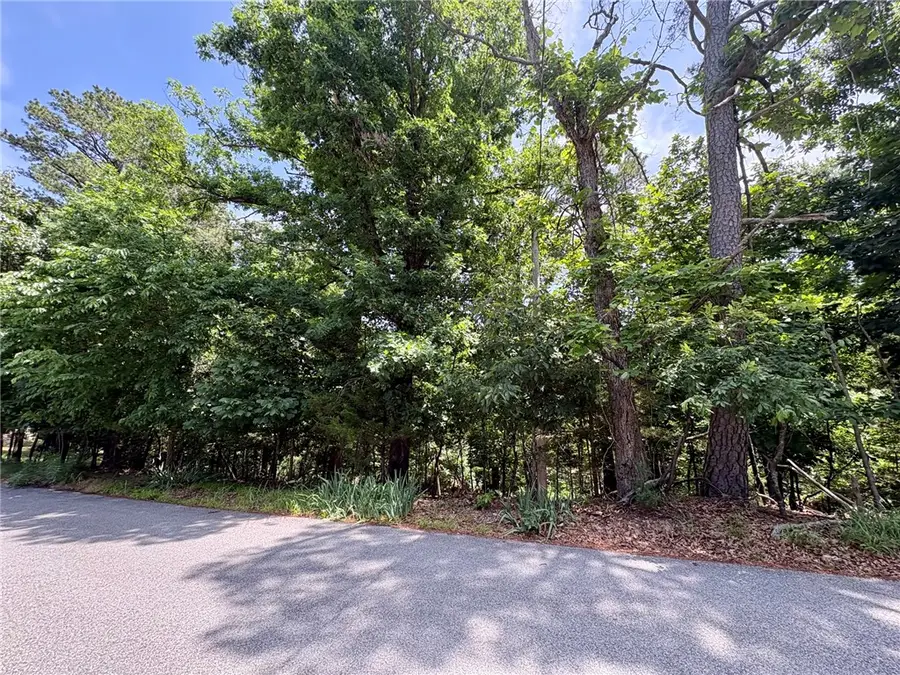 Lot 33,34,35 Acapulco Drive, Rogers, AR 72756 - #3