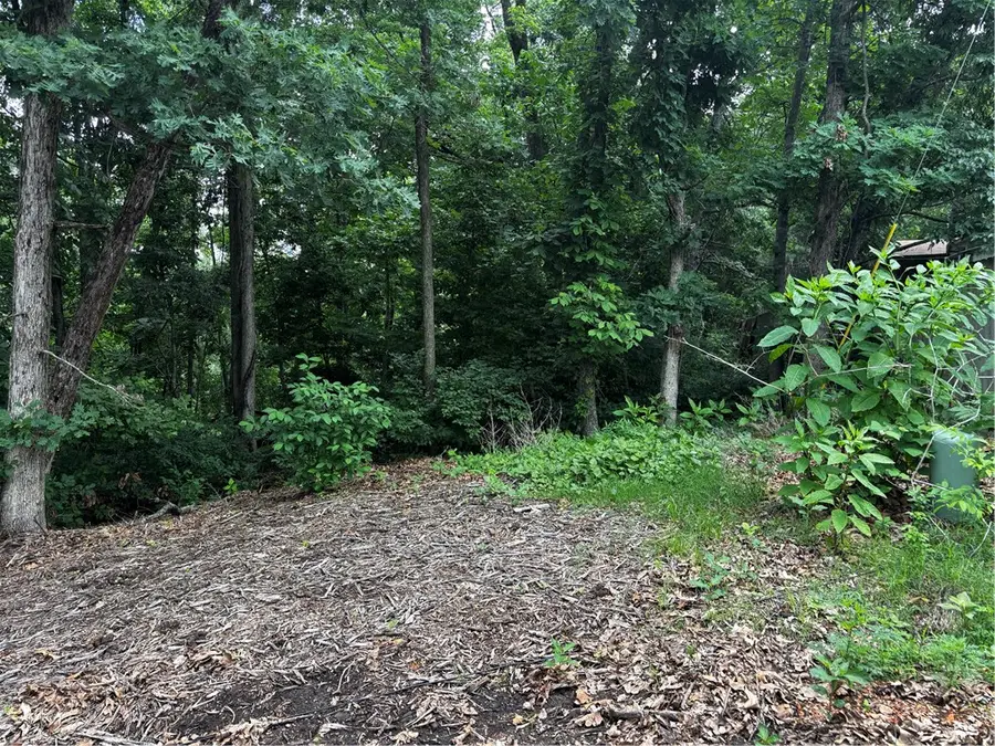 Lot 10 Kensington Lane, Bella Vista, AR 72715 - #2