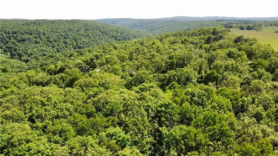 17659 S Skylight Mountain Road, Canehill, AR 72717 - #2