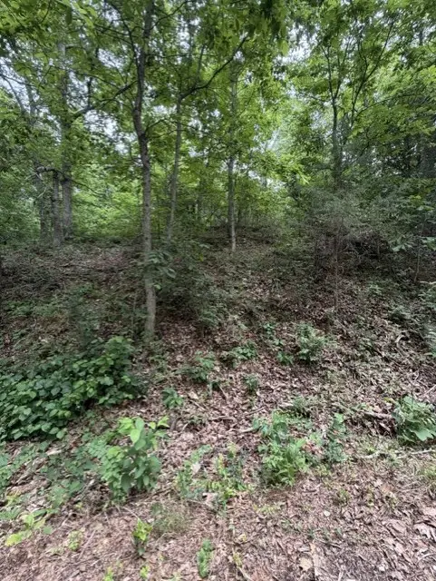 TBD Islay Drive, Bella Vista, AR 72715