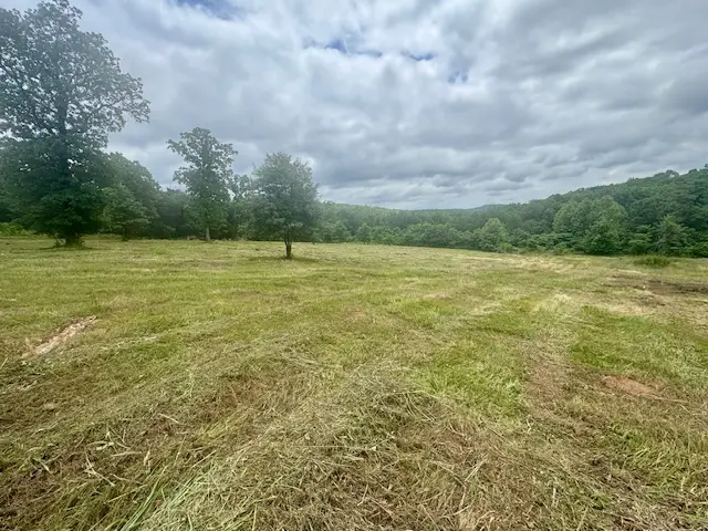 TBD Peaceful Home Lane, Natural Dam, AR 72948 - #1