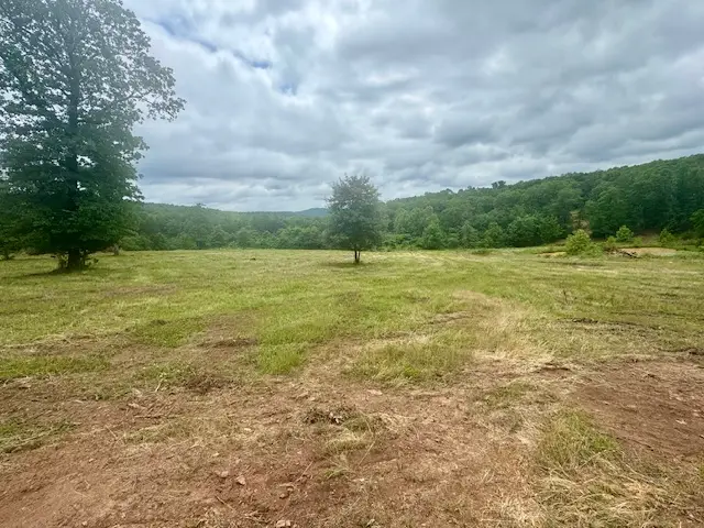 TBD Peaceful Home Lane, Natural Dam, AR 72948 - #3