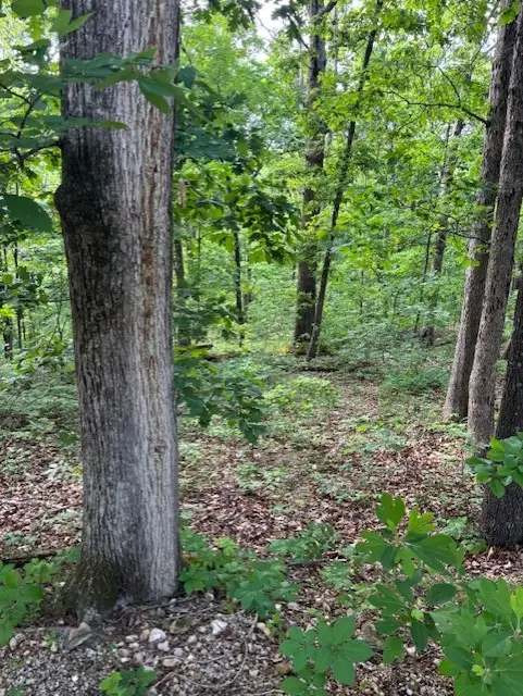 St Ives Circle, Bella Vista, AR 72714 - #1