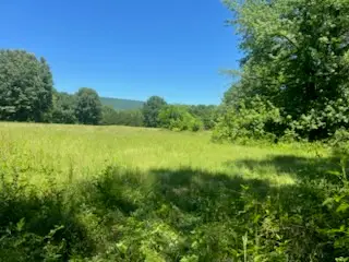 13535 Harkey Valley Road, Dardanelle, AR 72834 - #2