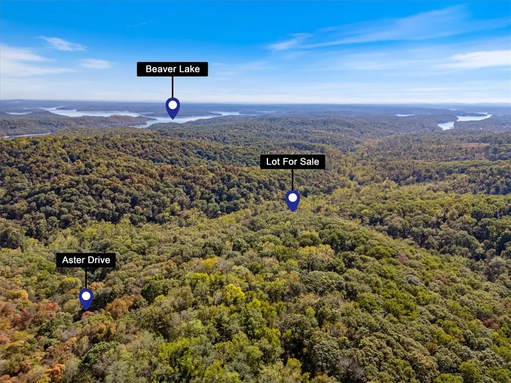 Lot 265 Aster Drive, Rogers, AR 72756 - #1