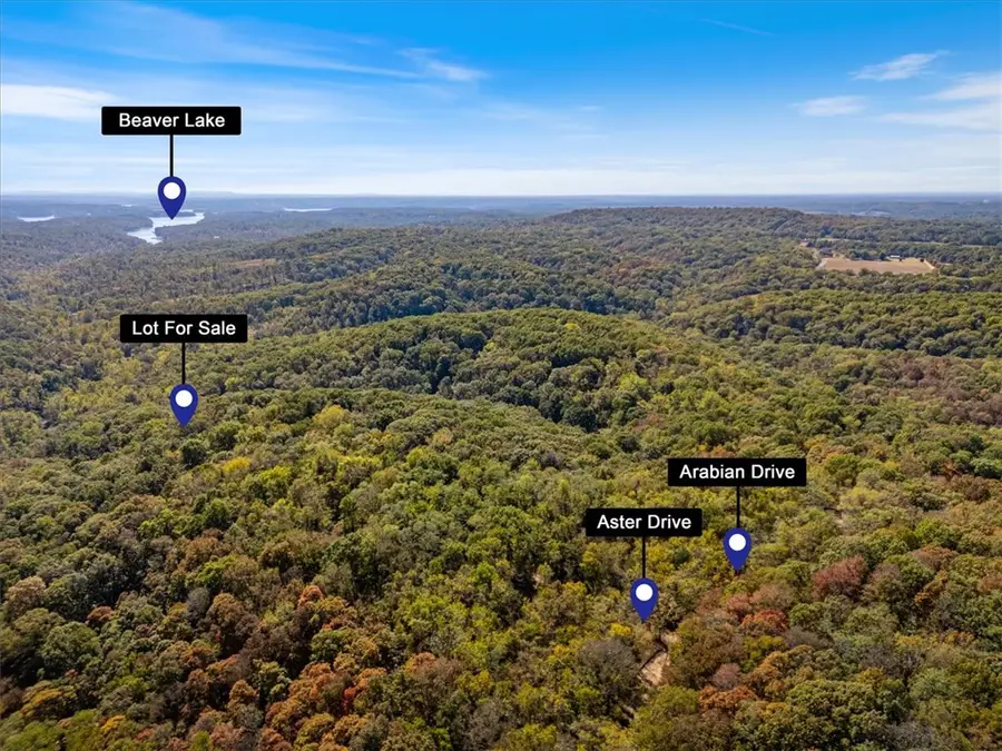 Lot 265 Aster Drive, Rogers, AR 72756 - #2