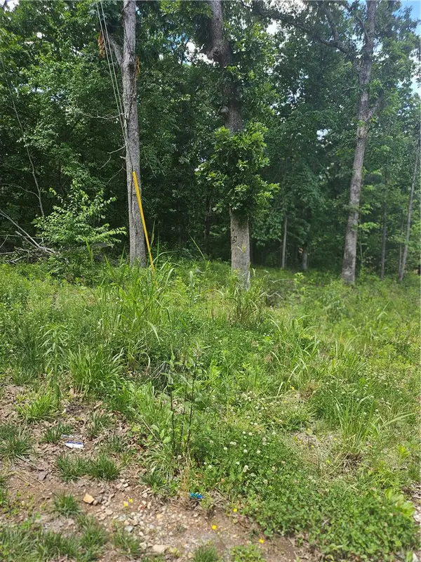 Lot 13 Moniave Lane, Bella Vista, AR 72715