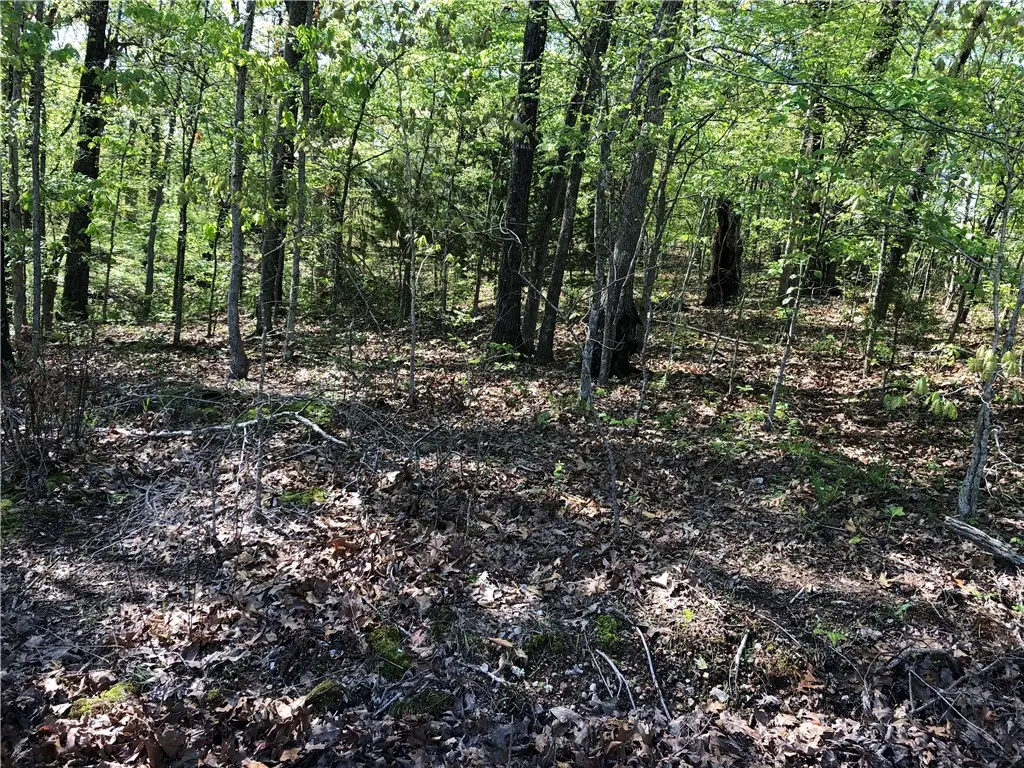 Lot 10 Grampian Lane, Bella Vista, AR 72715 - #1