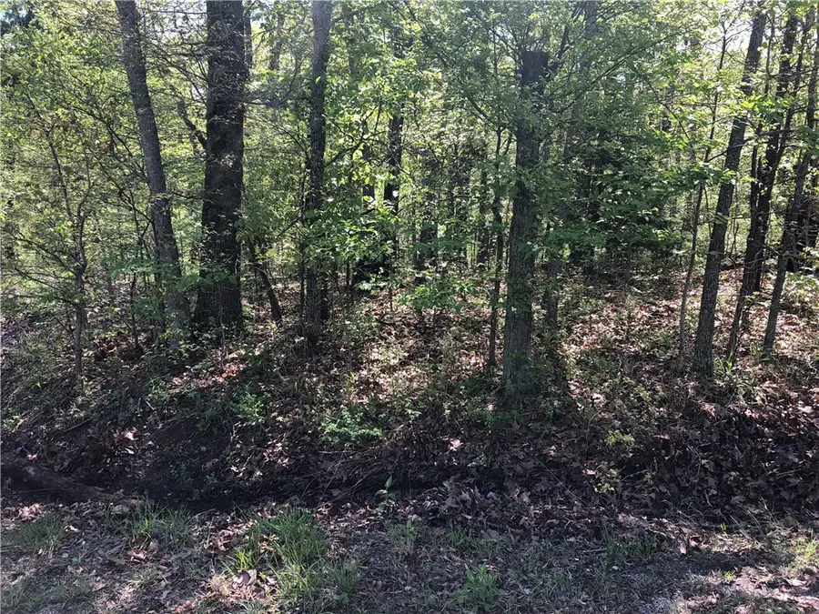 Lot 10 Grampian Lane, Bella Vista, AR 72715 - #3