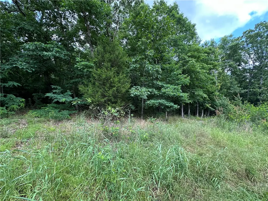 Lot 21 Glasgow Drive, Bella Vista, AR 72715 - #1