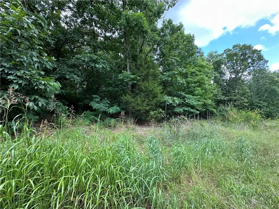 Lot 21 Glasgow Drive, Bella Vista, AR 72715 - #2