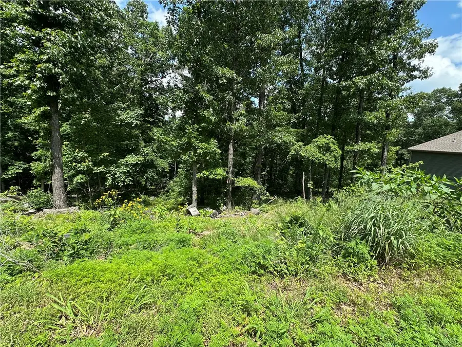 Lot 12 Cranfield Circle, Bella Vista, AR 72714 - #2