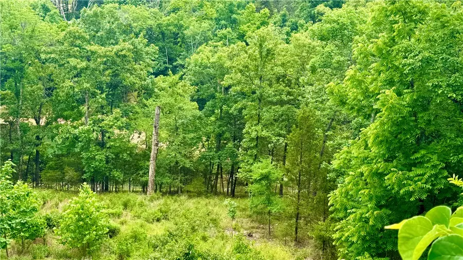 20287 Copper Ridge Road, Rogers, AR 72756 - #3