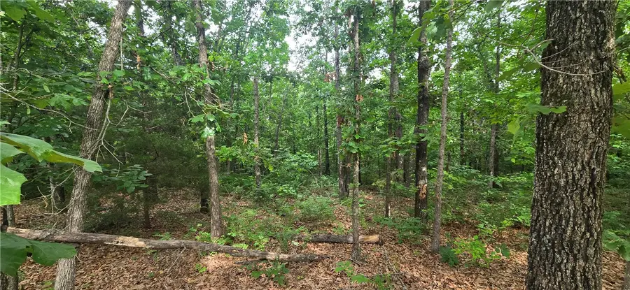 Laurencekirk Place, Bella Vista, AR 72715 - #2