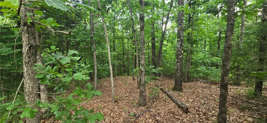 Laurencekirk Place, Bella Vista, AR 72715 - #3