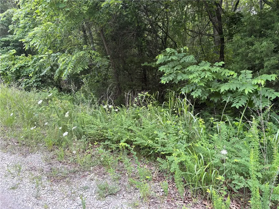 275 Mc 6030, Yellville, AR 72687 - #3
