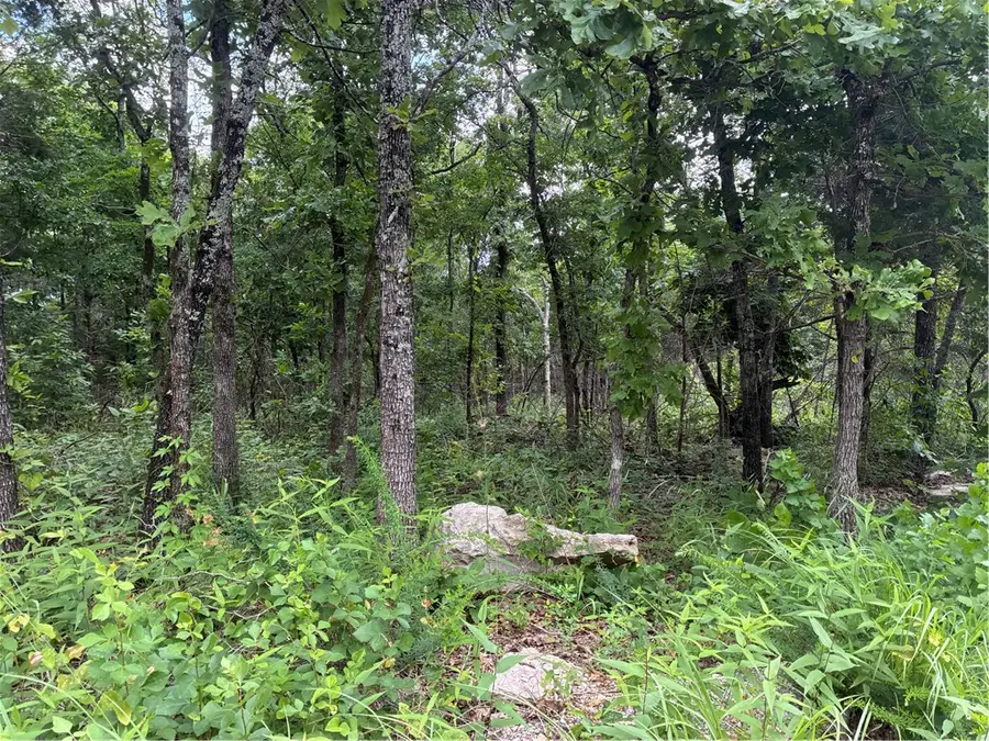 001-01040-000 Mc 6091, Marion County, AR 73634 - #2