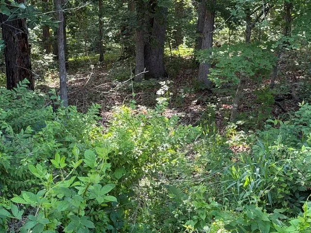 TBD Drayton Circle, Bella Vista, AR 72715 - #1