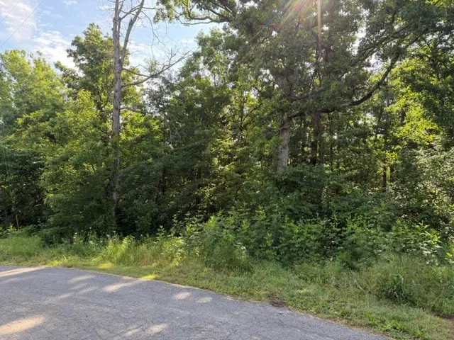 TBD Drayton Circle, Bella Vista, AR 72715 - #2