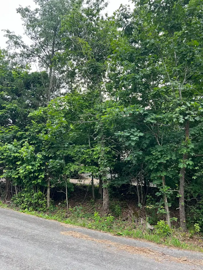 TBD Nottingham Drive, Bella Vista, AR 72715 - #2