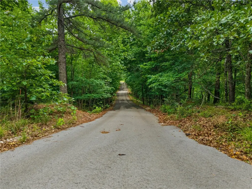 16740 Bethlehem Road, Decatur, AR 72722 - #1