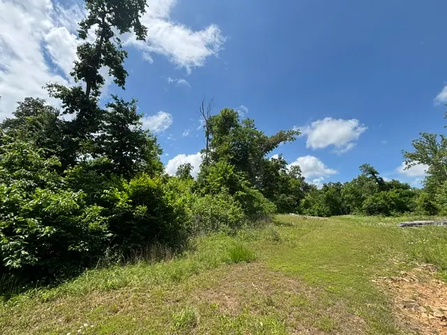 AR 21 s Berryville, AR 72 S Ar 21, Berryville, AR 72616 - #2
