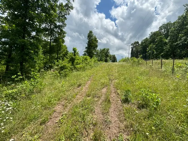 AR 21 s Berryville, AR 72 S Ar 21, Berryville, AR 72616 - #3
