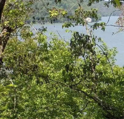 Lots 18 & 19 Piney Bay Village, London, AR 72847 - #2