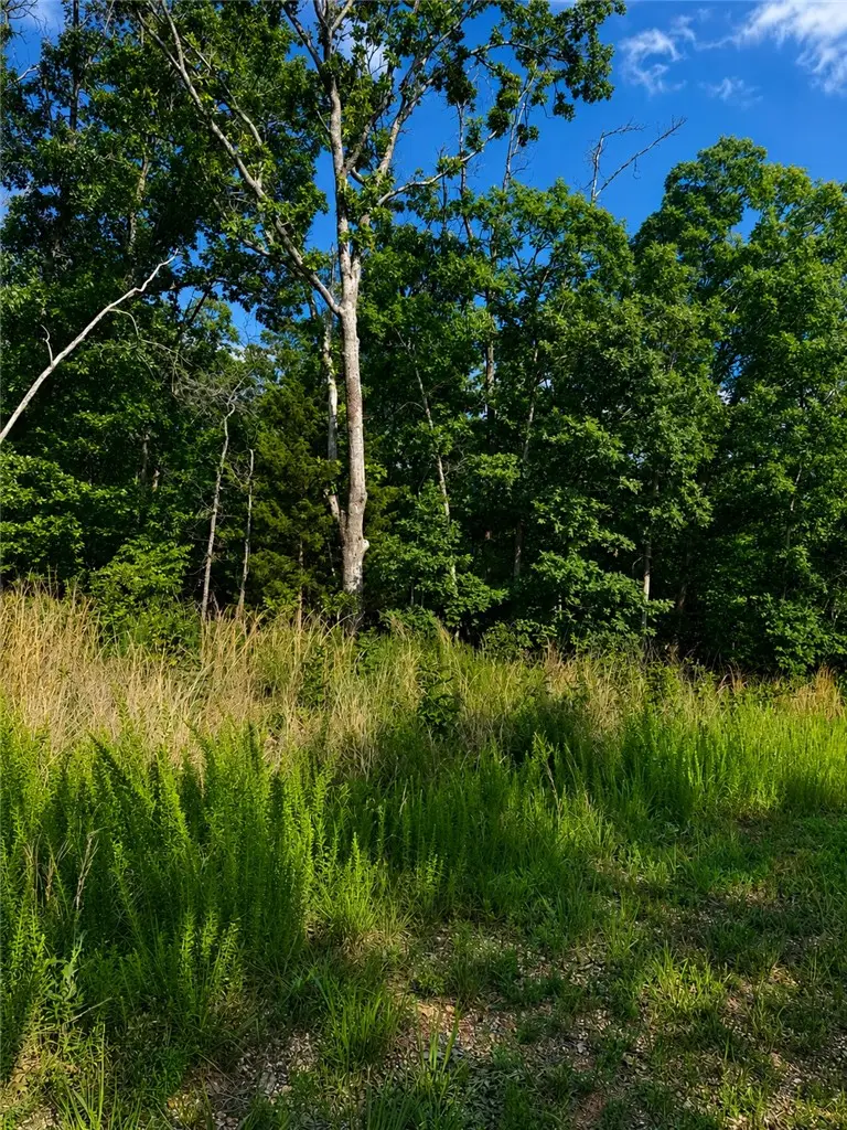 Alford Lane, Bella Vista, AR 72714 - #1