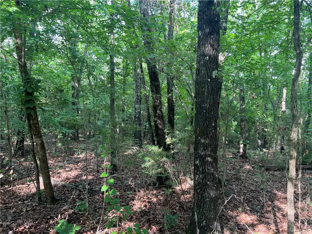 Grassy Gap Road, Harrison, AR 72601 - #1