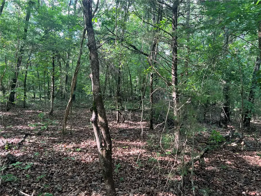 Grassy Gap Road, Harrison, AR 72601 - #2