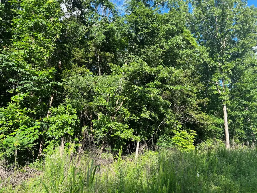Grassy Gap Road, Harrison, AR 72601 - #3