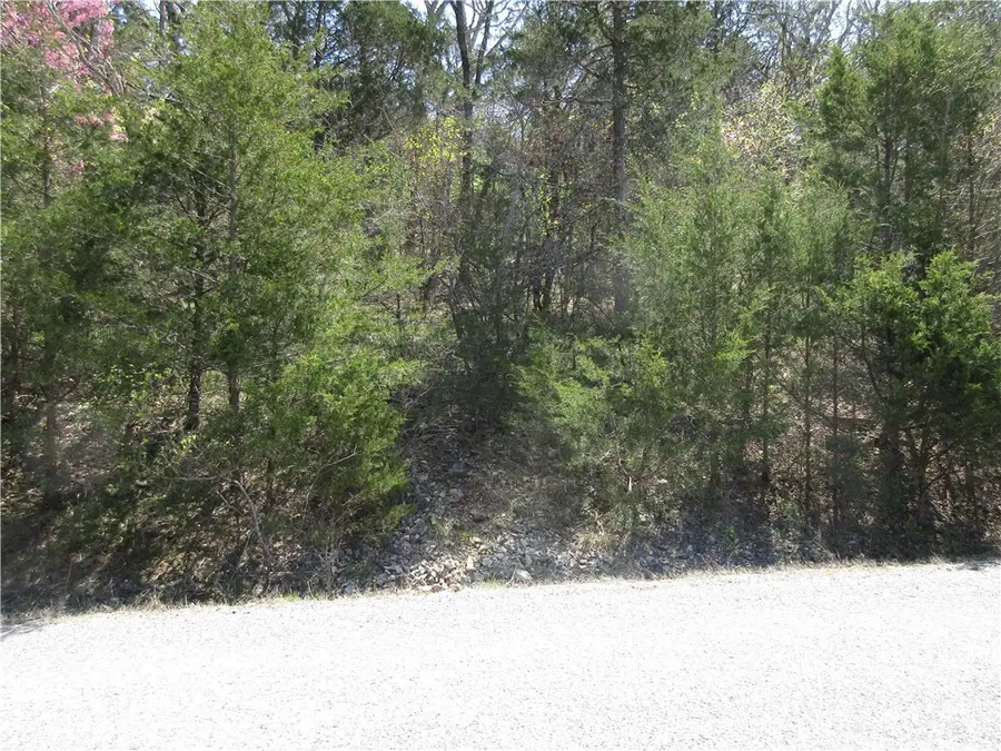 Lot 6, Hillside Drive, Holiday Island, AR 72631 - #2