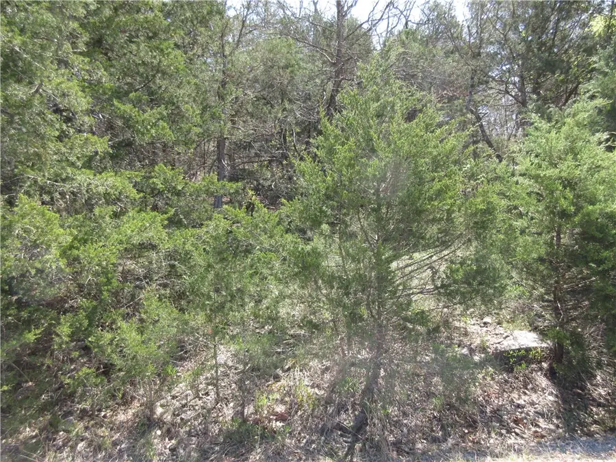 Lot 7, Hillside Drive, Holiday Island, AR 72631 - #2