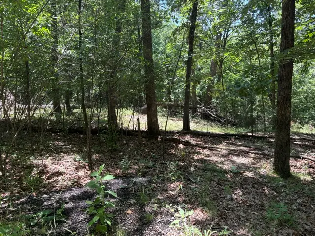 Lots 23-25 Maple Drive, Garfield, AR 72732 - #2