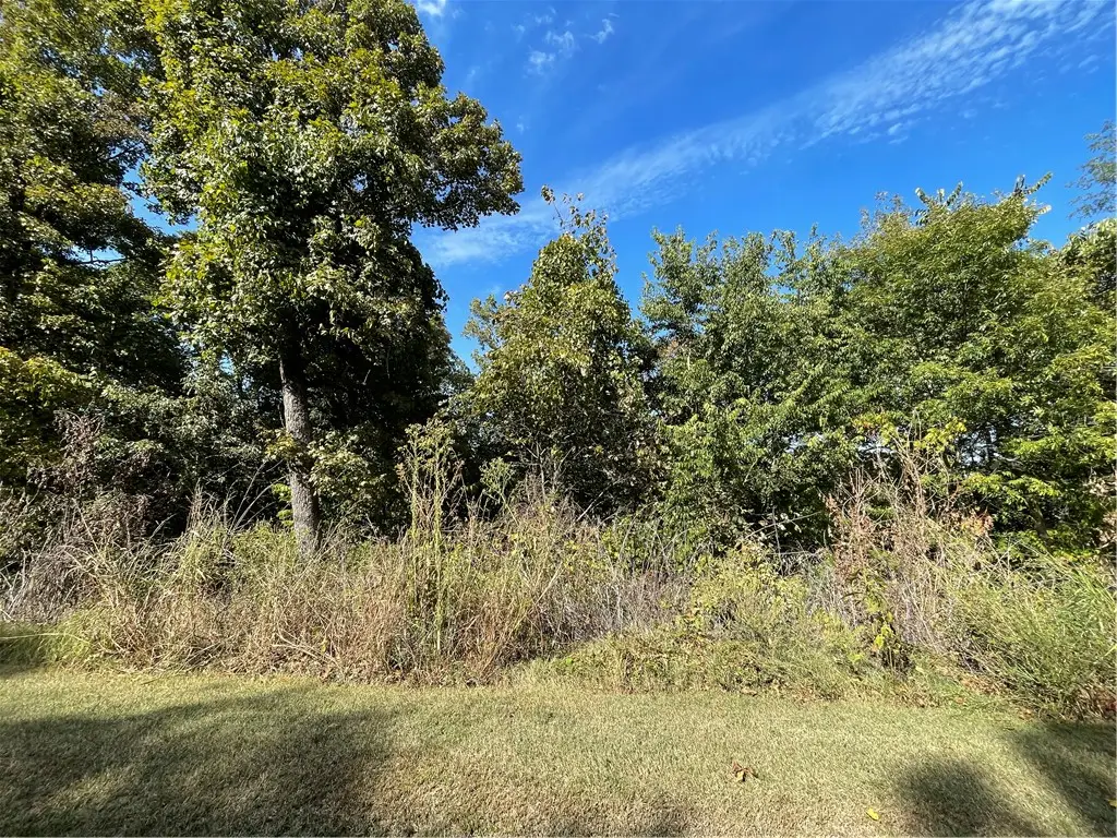 238 Holiday Island Drive, Holiday Island, AR 72631 - #1
