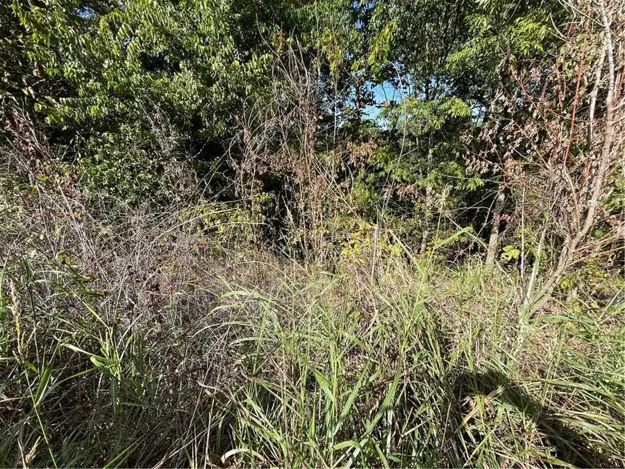 238 Holiday Island Drive, Holiday Island, AR 72631 - #3