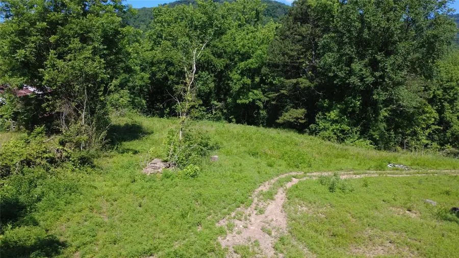 934 Nc 7480, Pleasant Hill, AR 72641 - #3