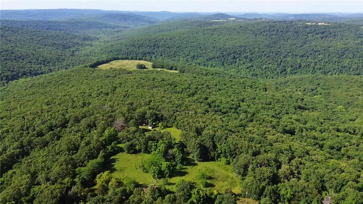 120 Acres Zinnamon Church Road, West Fork, AR 72774 - #1