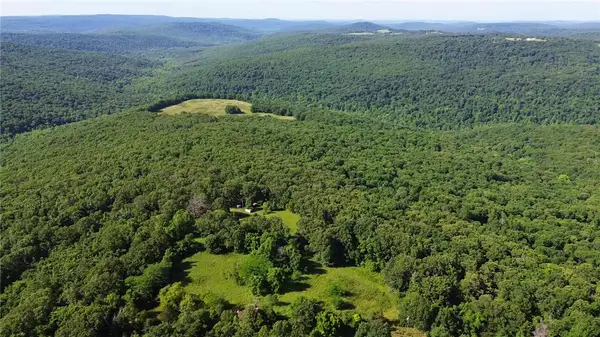 120 Acres Zinnamon Church Road, West Fork, AR 72774