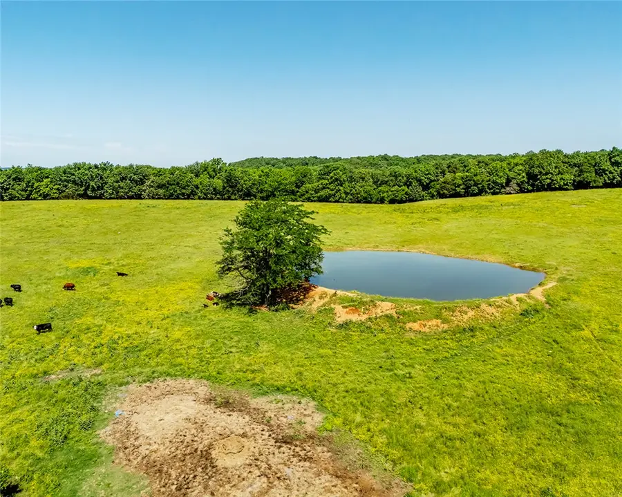 12930 Baker Mountain, Prairie Grove, AR 72753 - #2