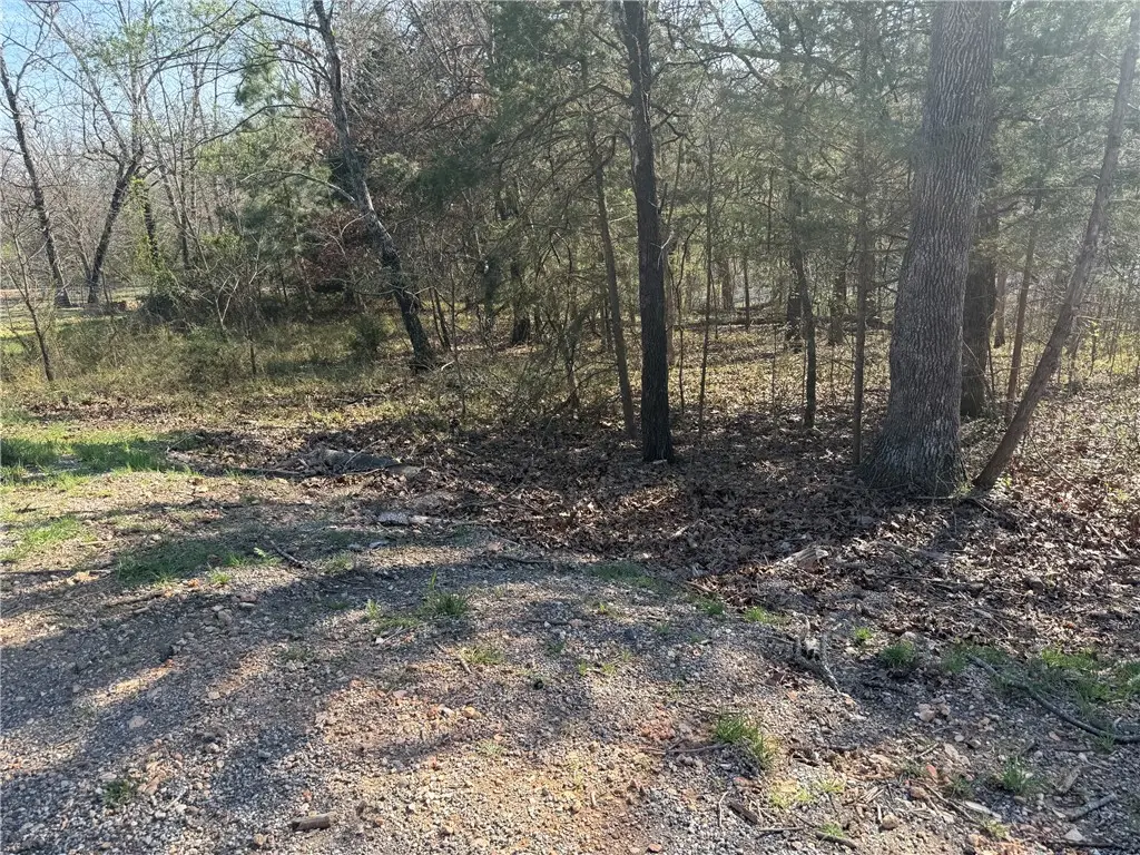 Lyneham Lane, Bella Vista, AR 72714 - #1