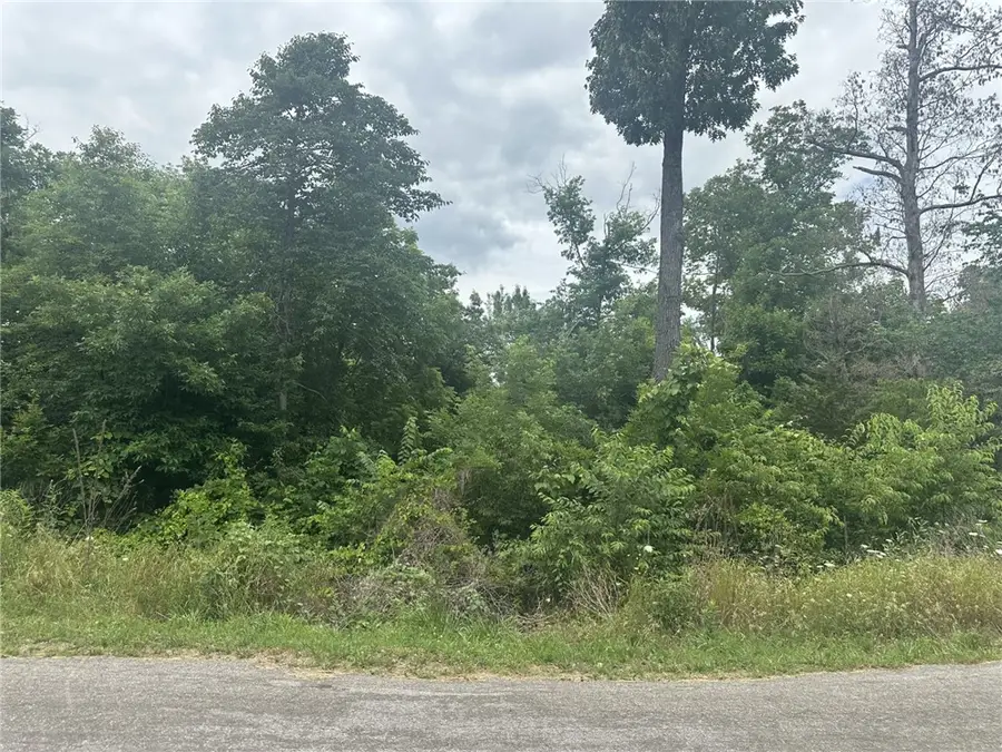 Copinsay Lane, Bella Vista, AR 72715 - #2